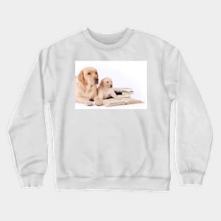 Labrador puppy with his mother and books Crewneck Sweatshirt